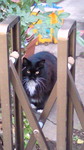 201201280806000.jpg