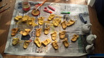 201204251313000.jpg