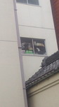 201307030819000.jpg