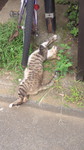 201308060852000.jpg