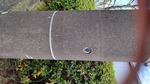DSC_0339.JPG