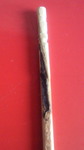 NEC_0001.JPG